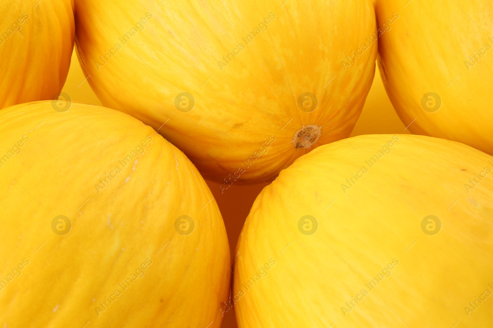 Photo of Many whole ripe melons as background, closeup