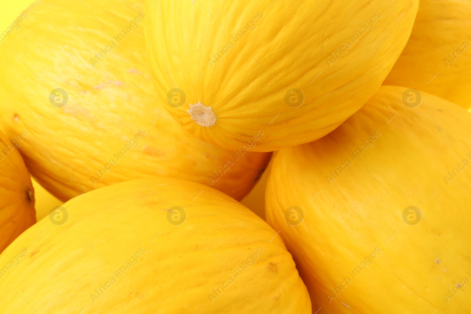 Photo of Many whole ripe melons as background, closeup