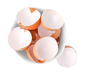 Photo of Broken eggshells in bowl isolated on white, top view