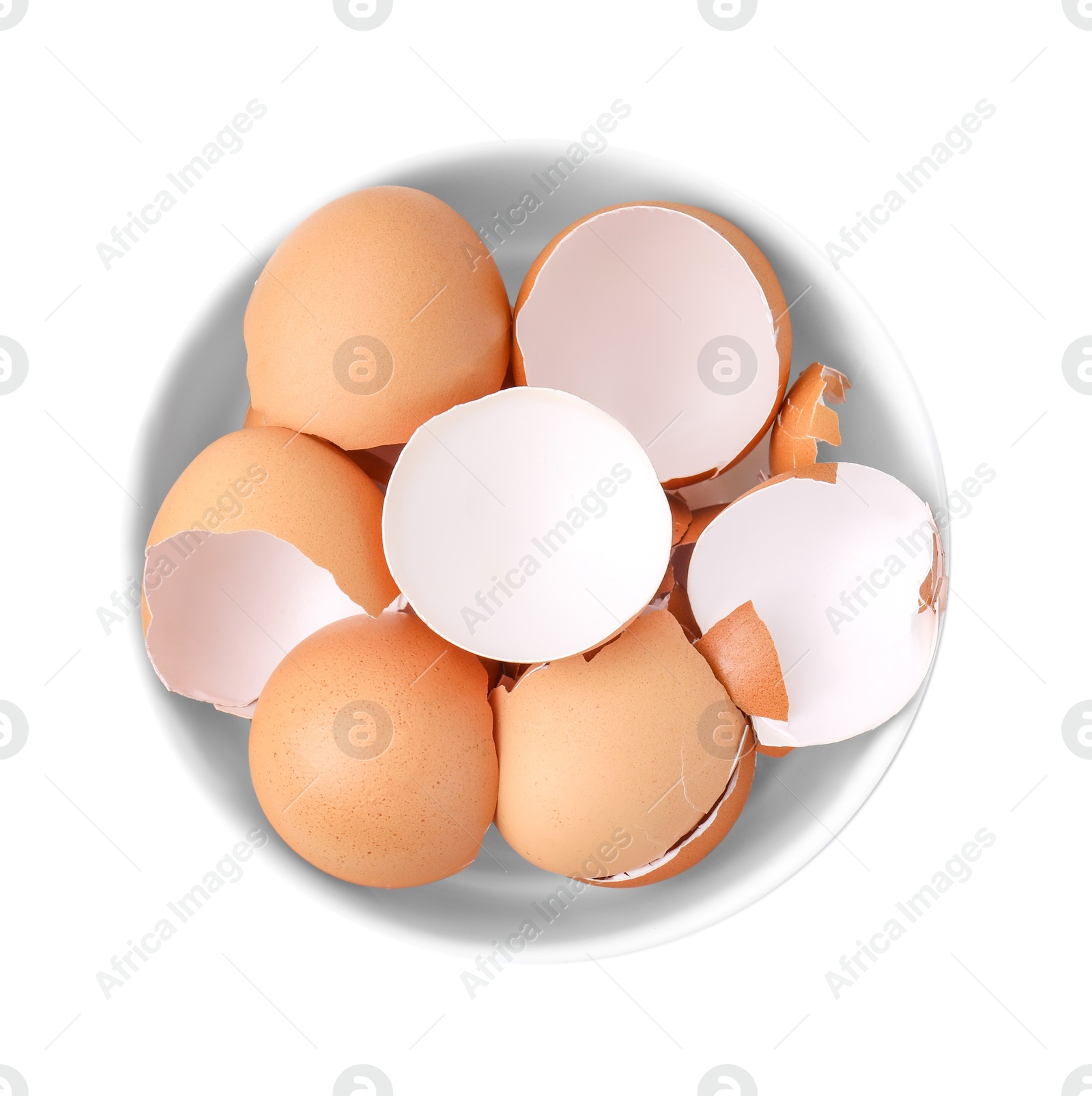 Photo of Broken eggshells in bowl isolated on white, top view