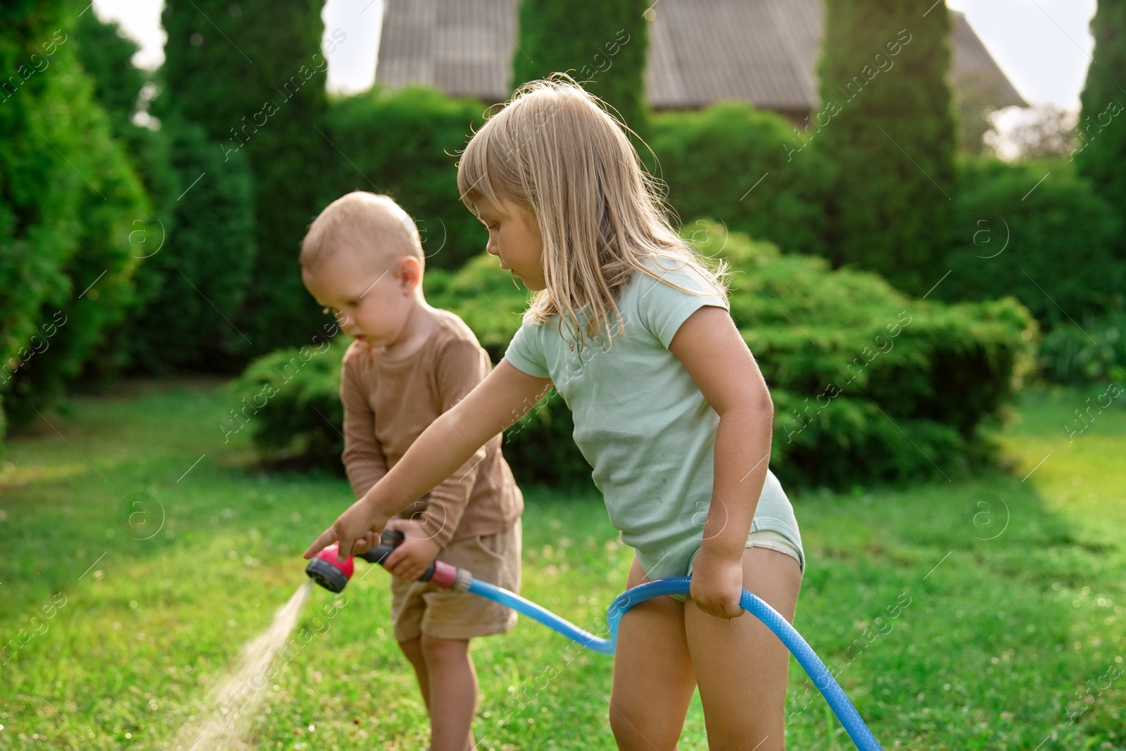 Photo of Little boy and his sister watering lawn with hose in backyard, selective focus