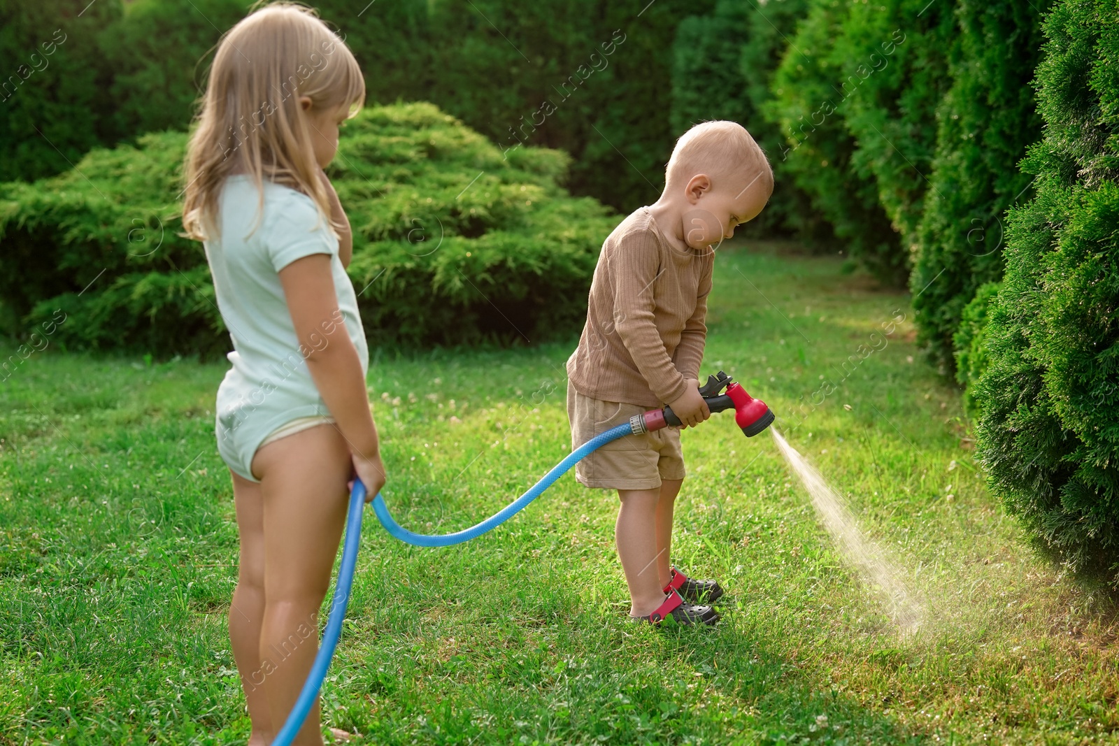 Photo of Little boy and his sister watering lawn with hose in backyard