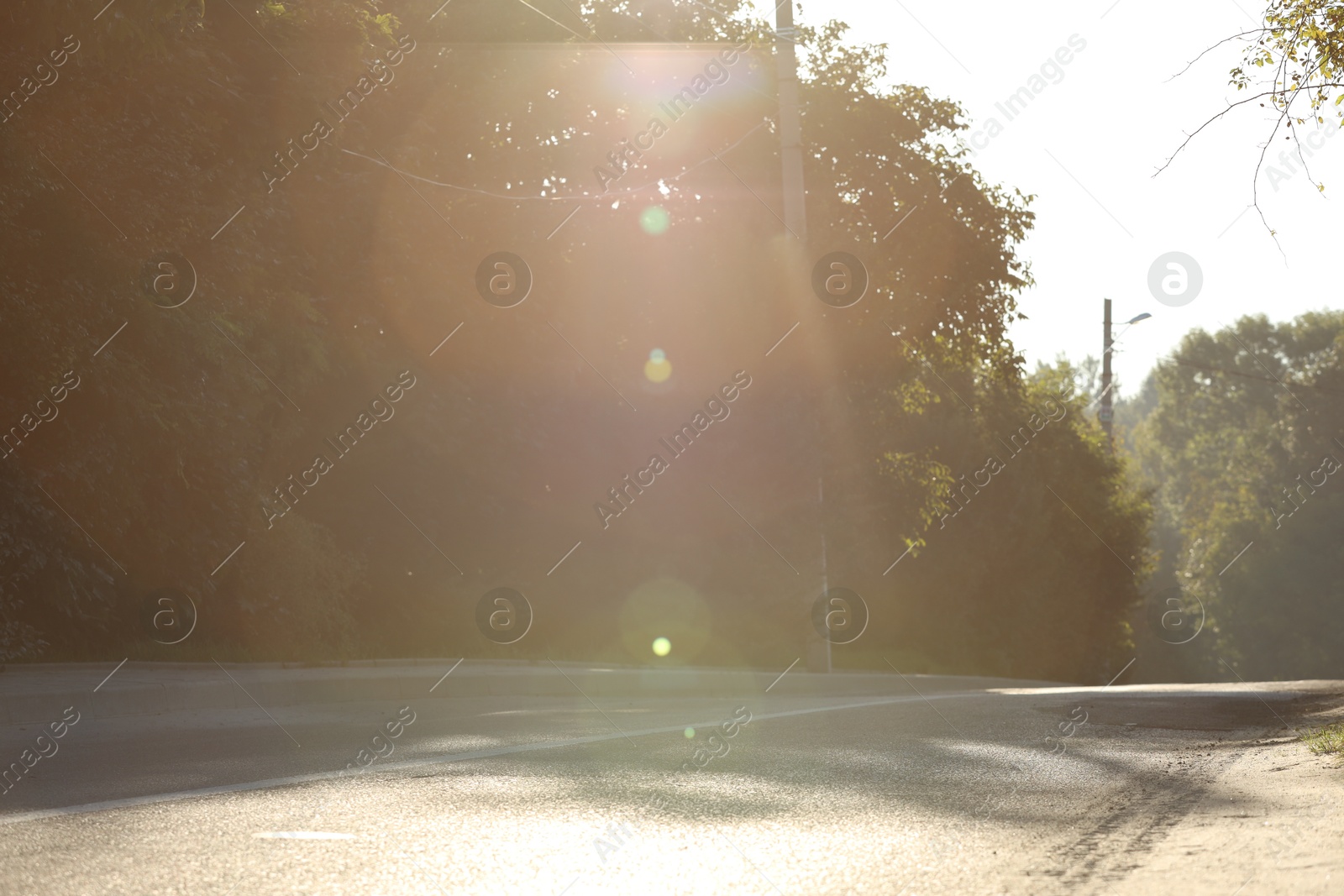 Photo of Beautiful view of city with trees in morning