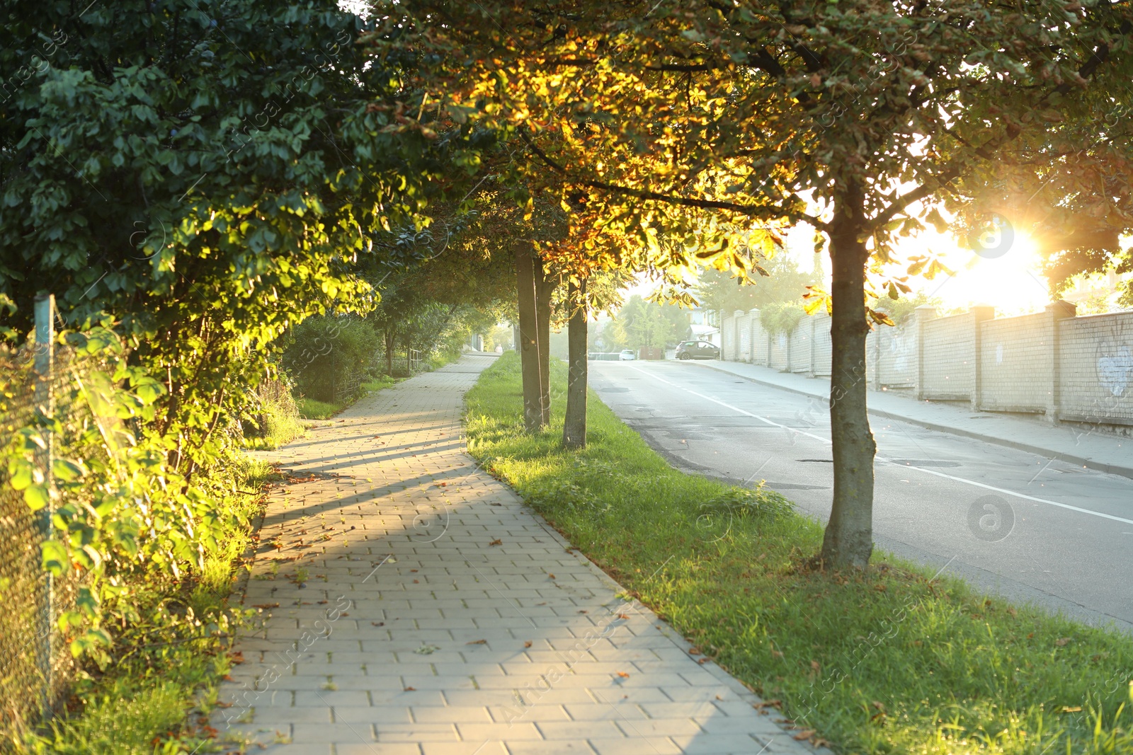 Photo of Beautiful view of city with trees and paved pathway in morning