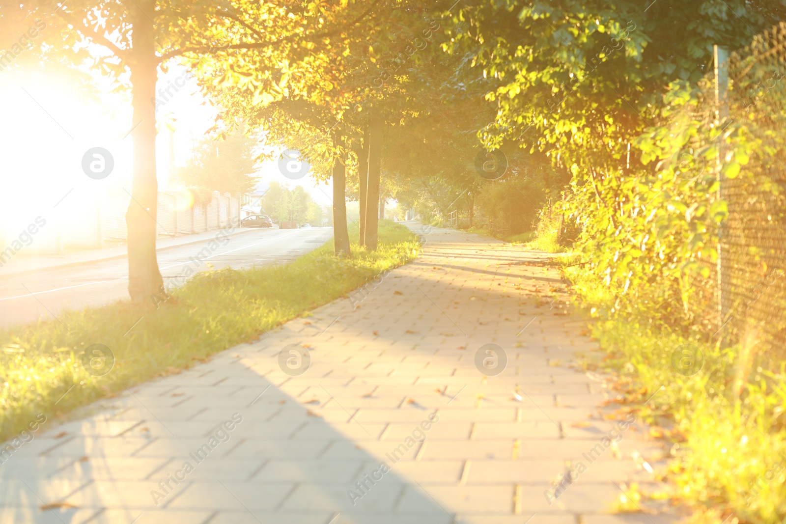 Photo of Beautiful view of city with trees and paved pathway in morning