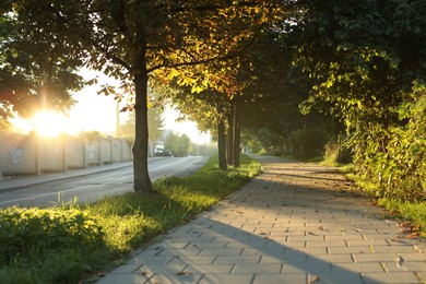 Beautiful view of city with trees and paved pathway in morning