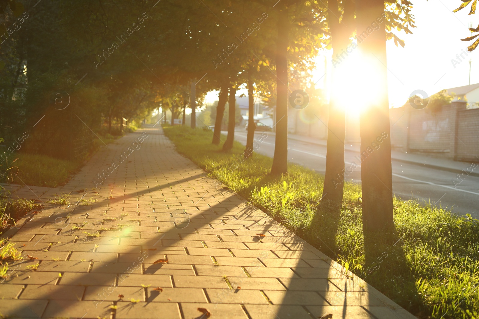 Photo of Beautiful view of city with trees and paved pathway in morning