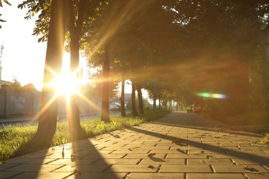 Photo of Beautiful view of city with trees and paved pathway in morning