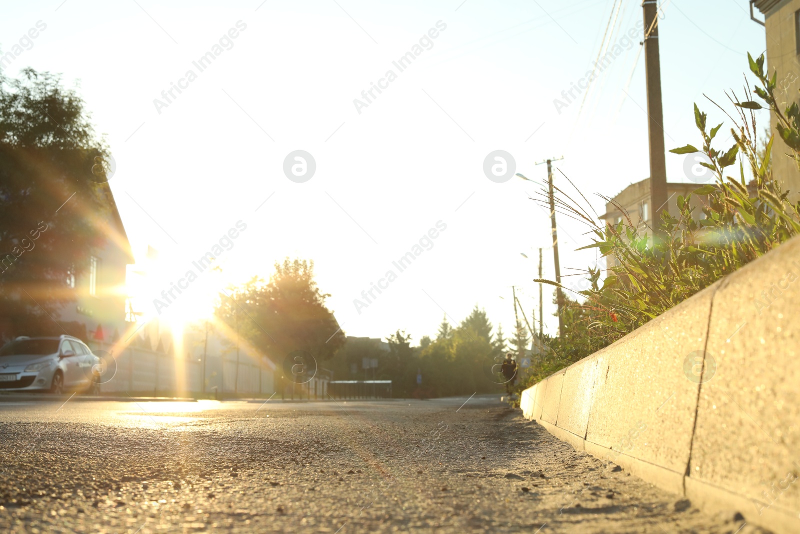 Photo of Beautiful view of city with trees in morning