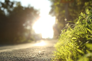 Photo of View of asphalt road and trees in morning