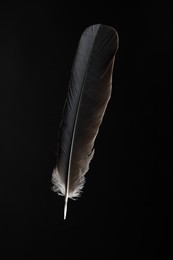 Photo of One beautiful bird feather on black background