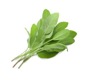 Photo of Branches with green sage leaves isolated on white, top view