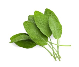 Photo of Fresh green sage leaves isolated on white, top view