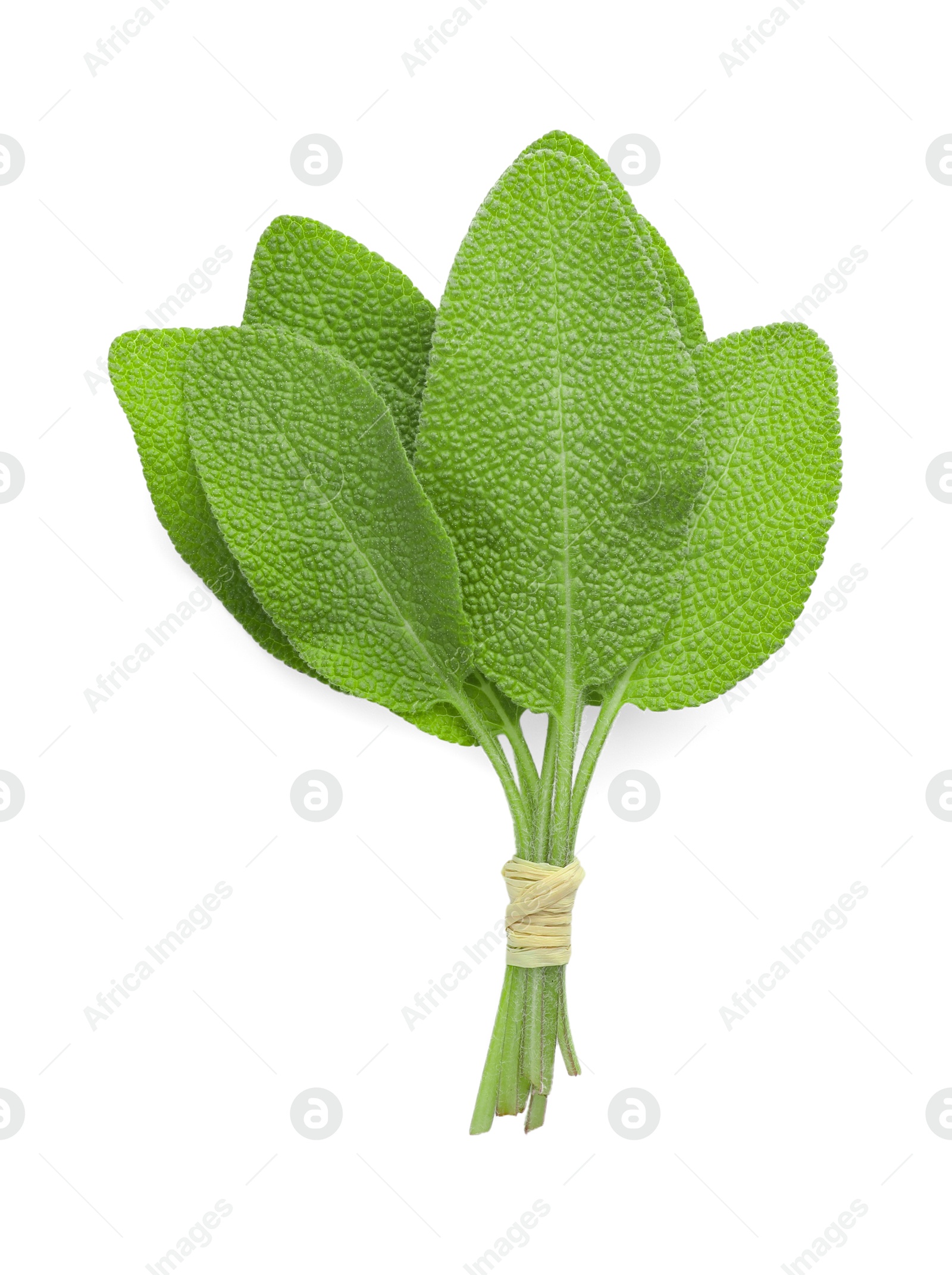 Photo of Bunch of green sage leaves isolated on white, top view