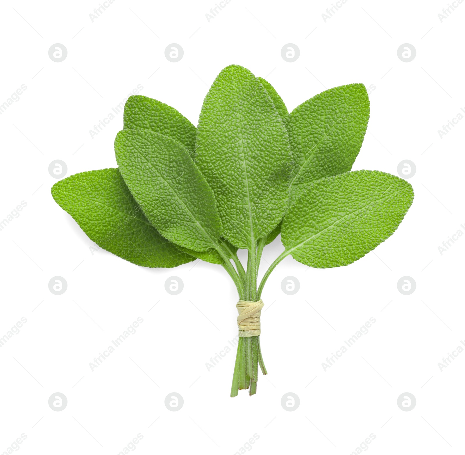 Photo of Bunch of green sage leaves isolated on white, top view