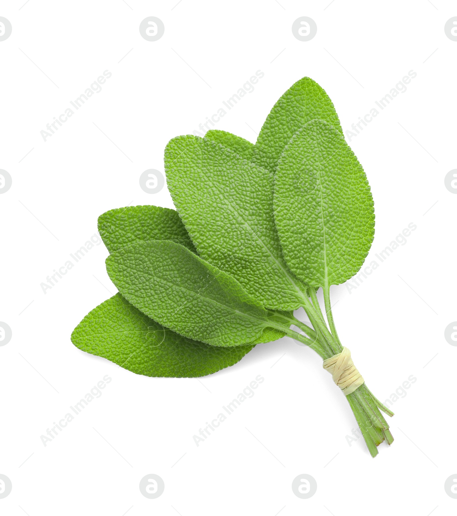 Photo of Bunch of green sage leaves isolated on white, top view