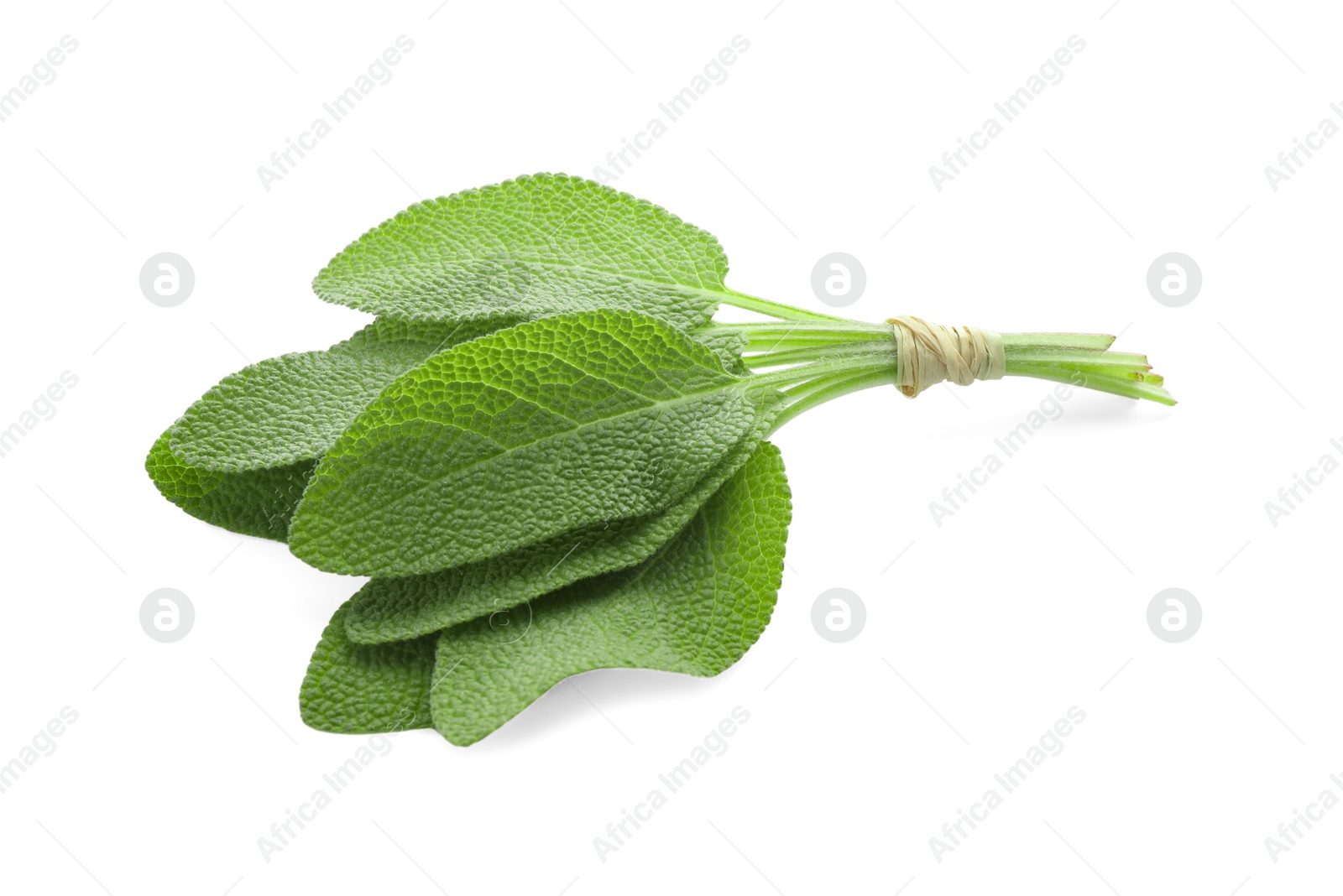 Photo of Bunch of green sage leaves isolated on white