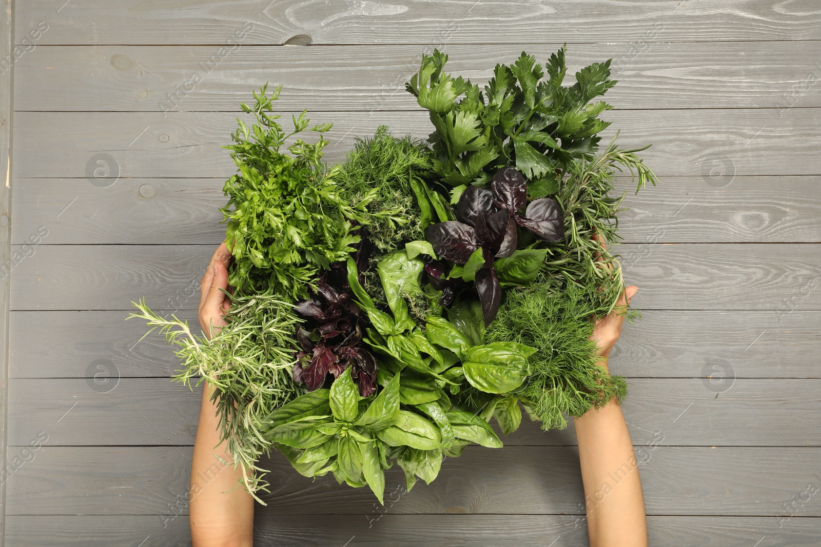 Photo of Woman holding different fresh herbs in basket at light grey wooden table, top view