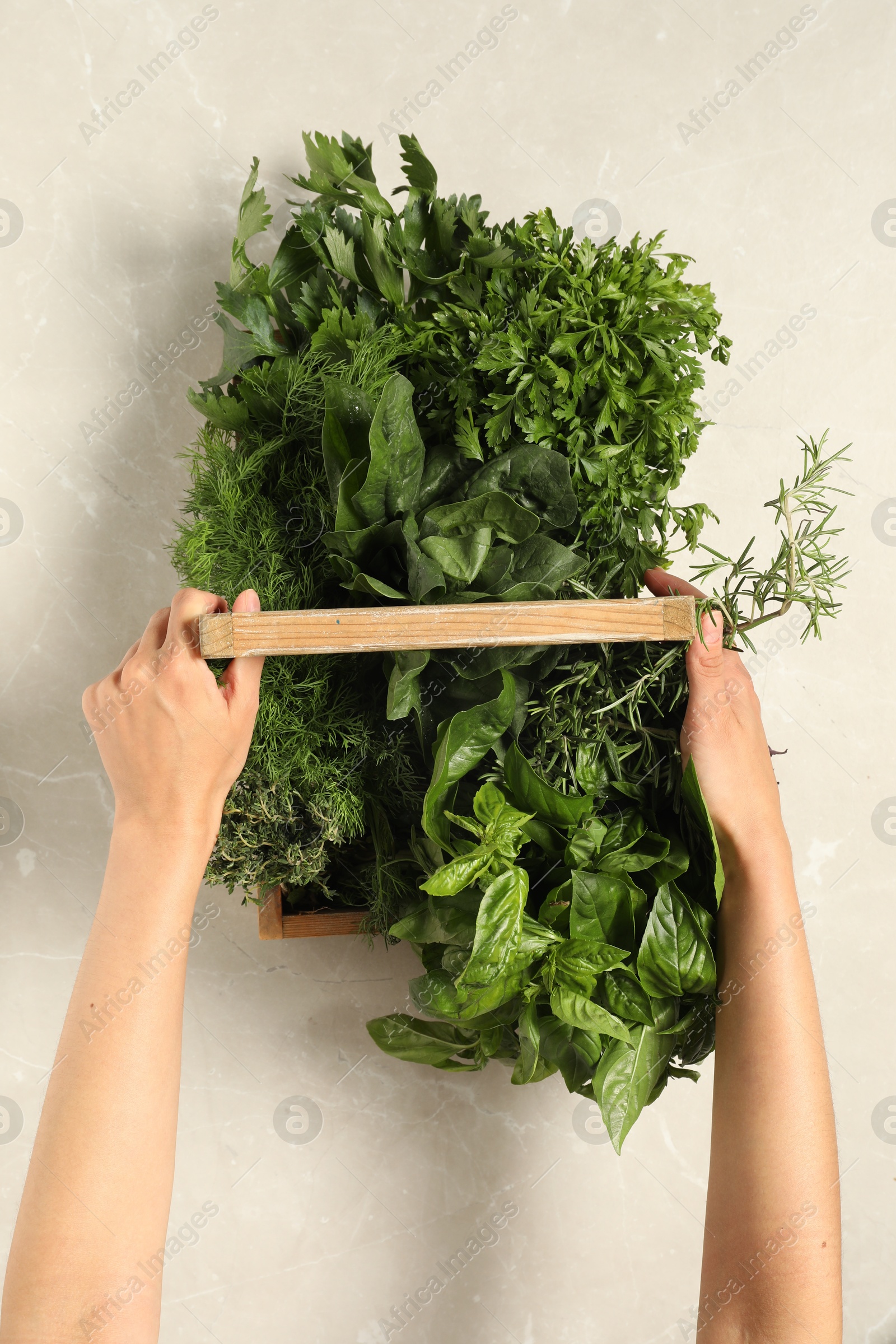 Photo of Woman holding different fresh herbs in wooden basket at light table, top view