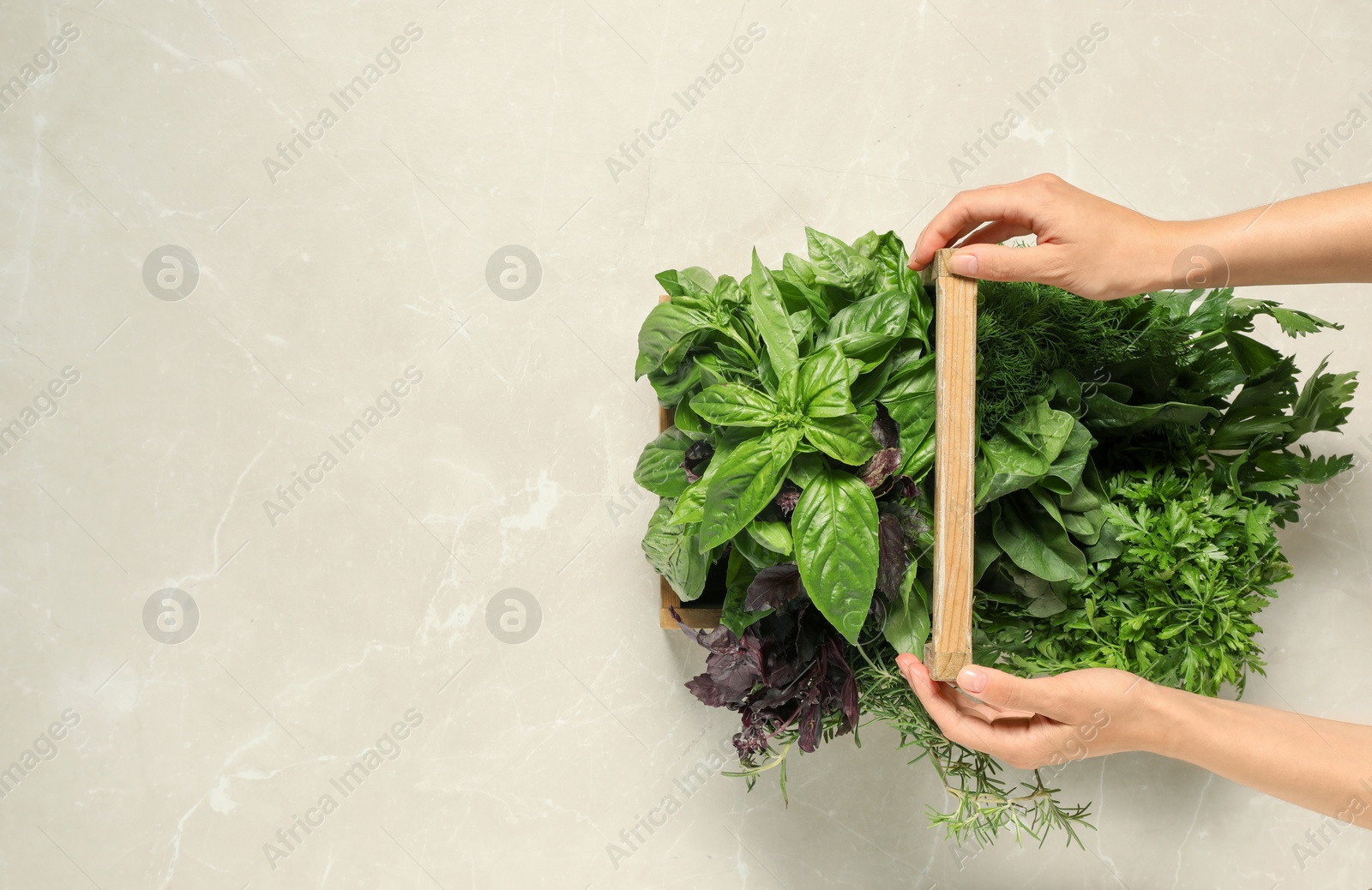 Photo of Woman holding different fresh herbs in wooden basket at light table, top view. Space for text