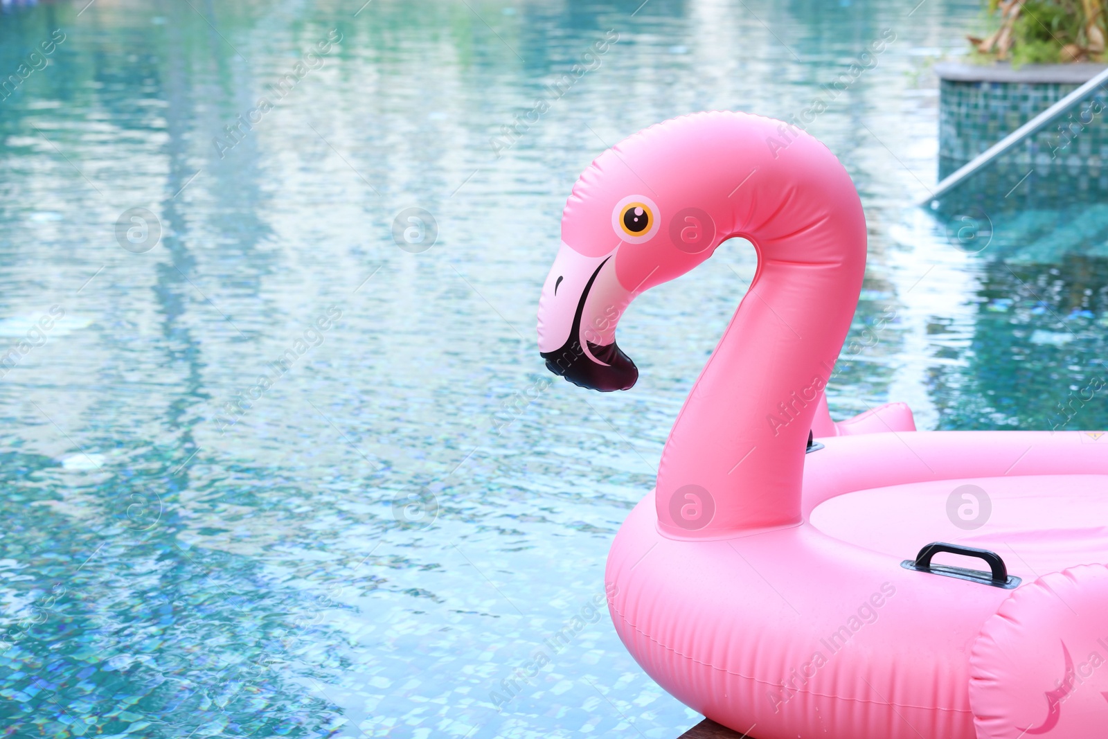 Photo of Inflatable float in shape of flamingo near outdoor swimming pool