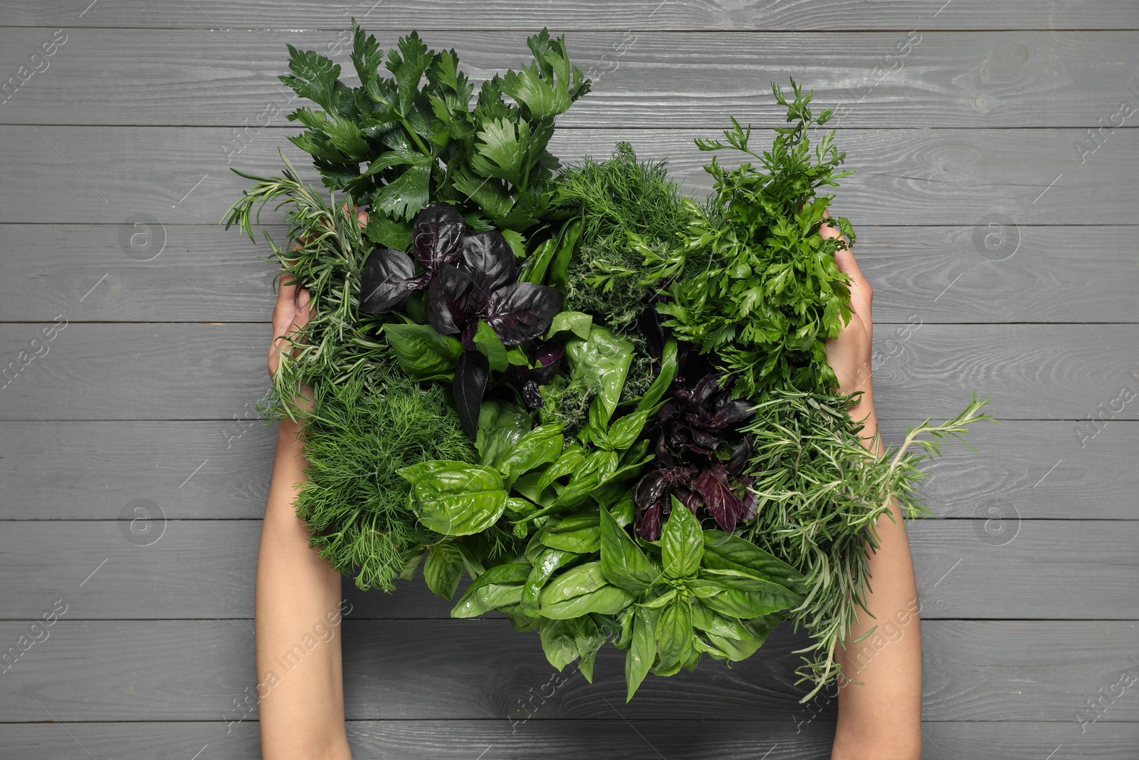 Photo of Woman holding different fresh herbs in basket at light grey wooden table, top view