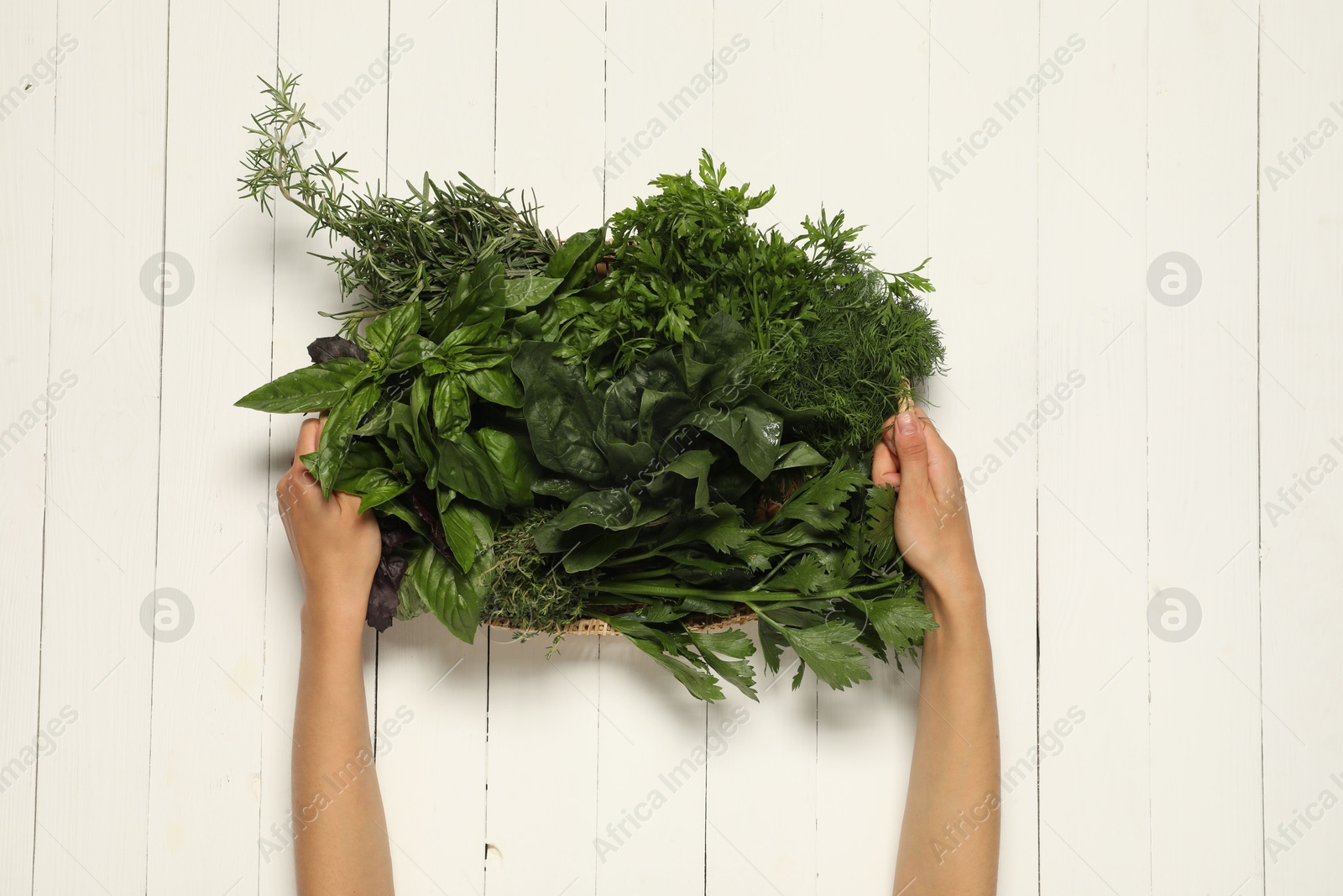 Photo of Woman holding different fresh herbs in basket at white wooden table, top view