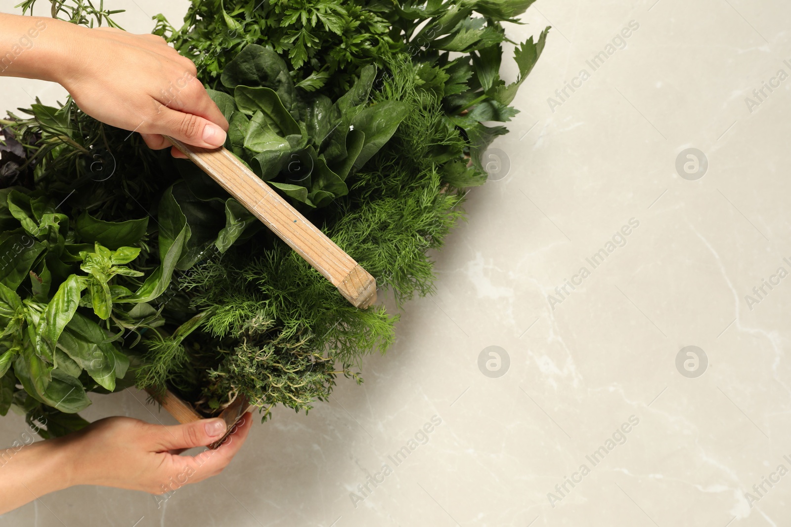 Photo of Woman holding different fresh herbs in wooden basket at light table, top view. Space for text