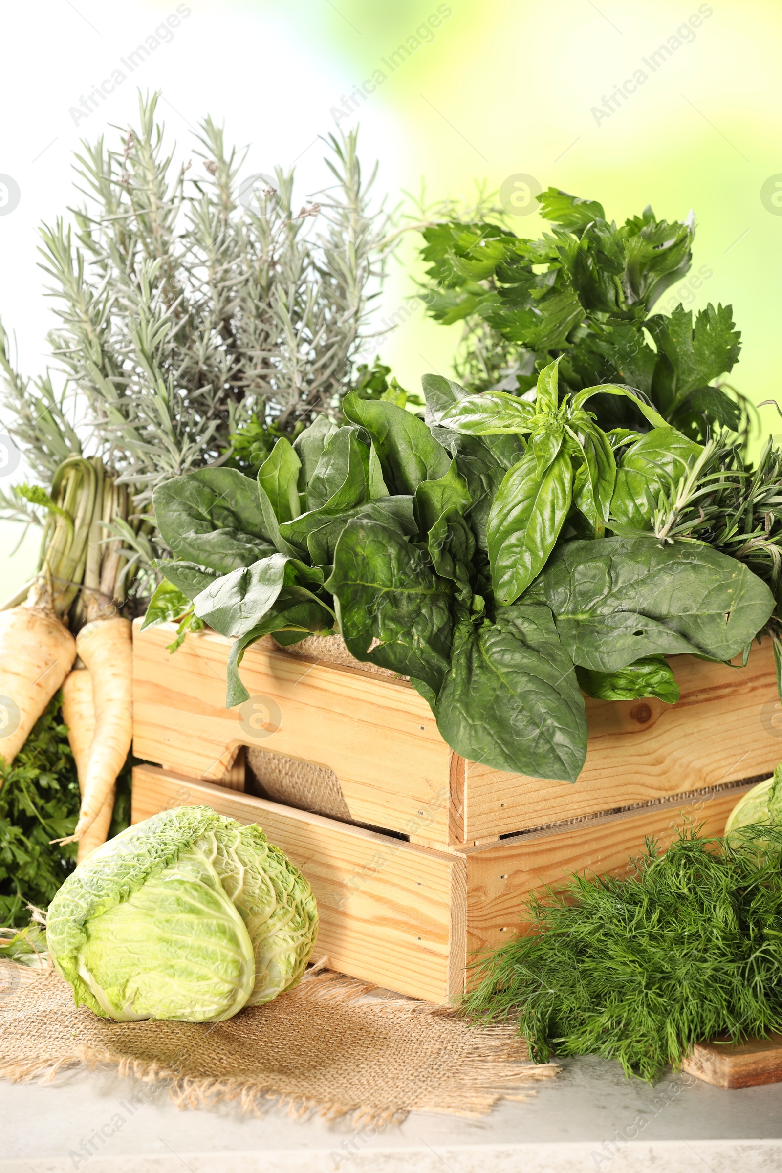 Photo of Different fresh herbs and cabbage on white table, closeup