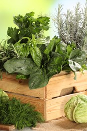 Photo of Different fresh herbs and cabbage on table, closeup