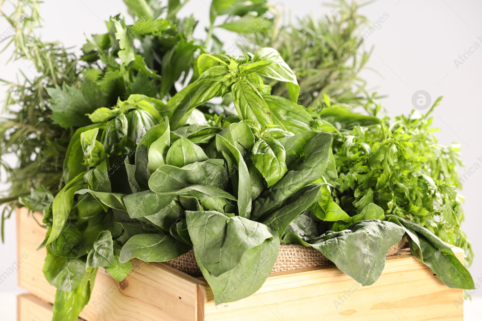 Photo of Different fresh herbs in wooden basket on light grey background, closeup