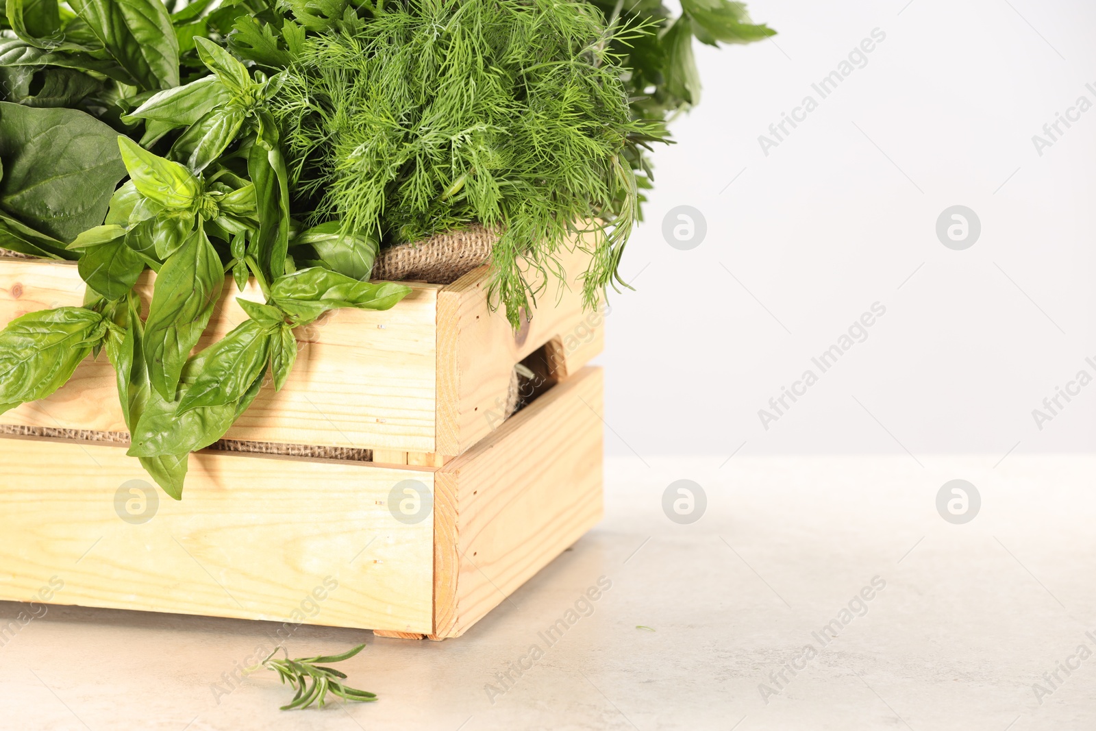 Photo of Different fresh herbs in wooden basket on white table. Space for text