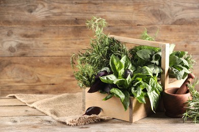 Photo of Different fresh herbs in basket on wooden table, space for text