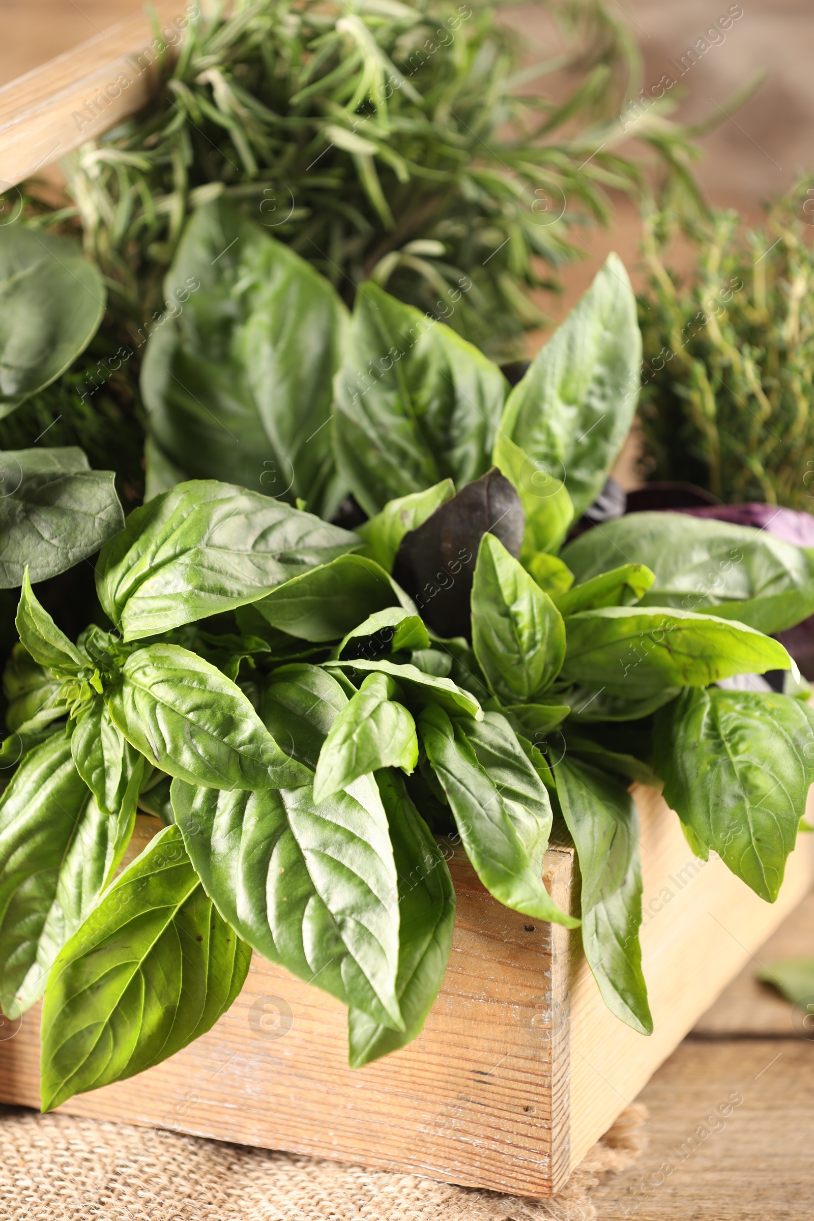 Photo of Different fresh herbs in basket on wooden table, closeup