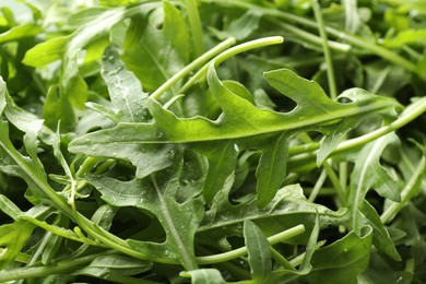 Photo of Many fresh arugula leaves with water drops as background, closeup