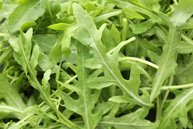 Photo of Many fresh arugula leaves with water drops as background, closeup