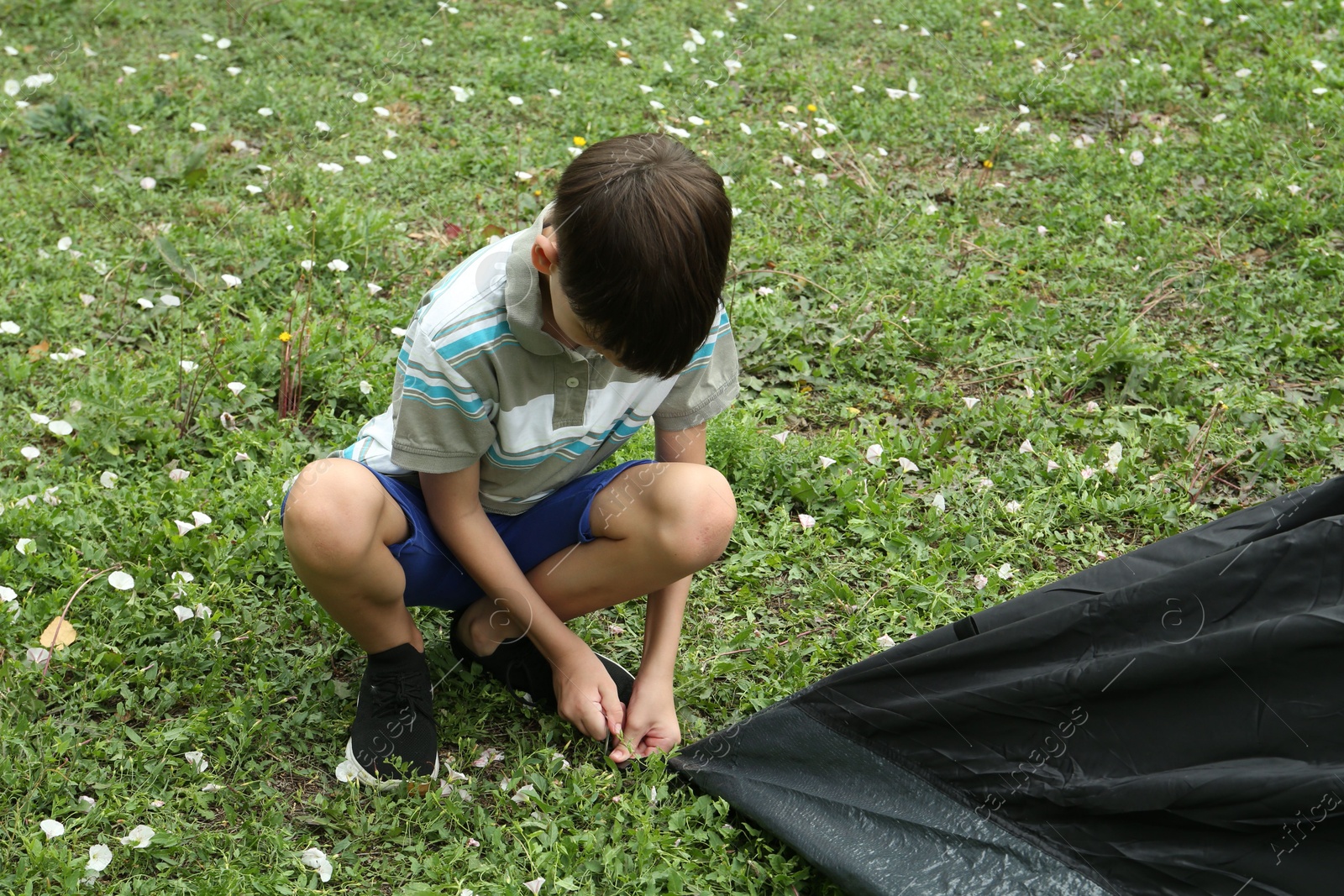 Photo of Little boy setting up camping tent outdoors