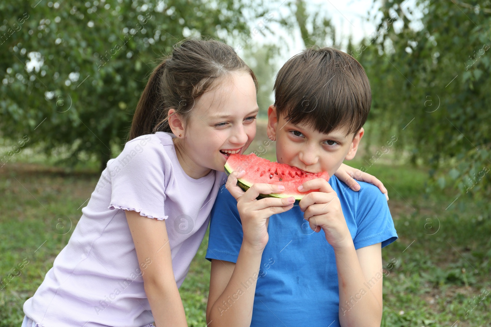 Photo of Cute little kids eating fresh watermelon outdoors