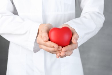 Photo of Doctor holding red heart on grey background, closeup