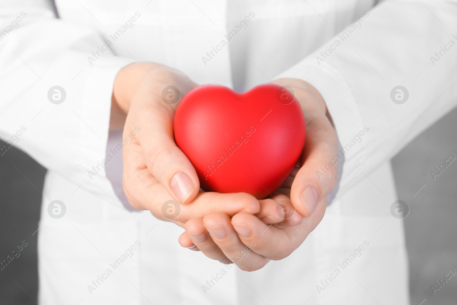 Photo of Doctor holding red heart on grey background, closeup