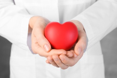 Photo of Doctor holding red heart on grey background, closeup