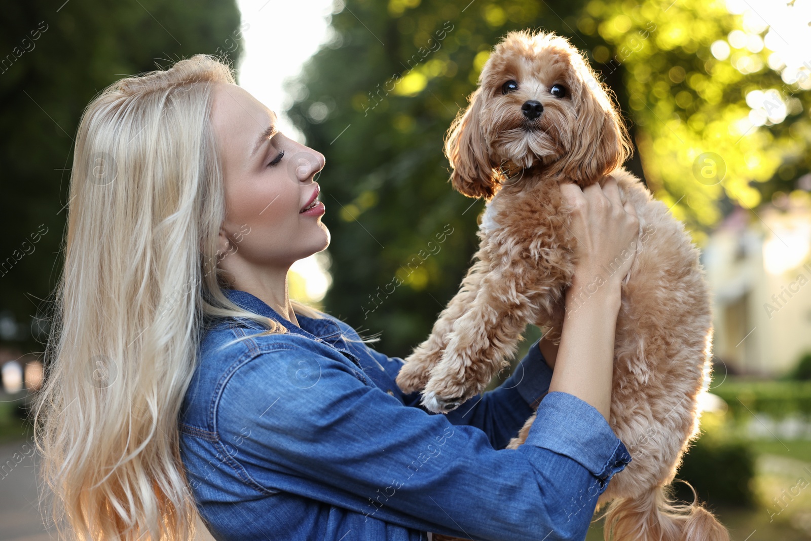 Photo of Beautiful young woman with cute dog in park