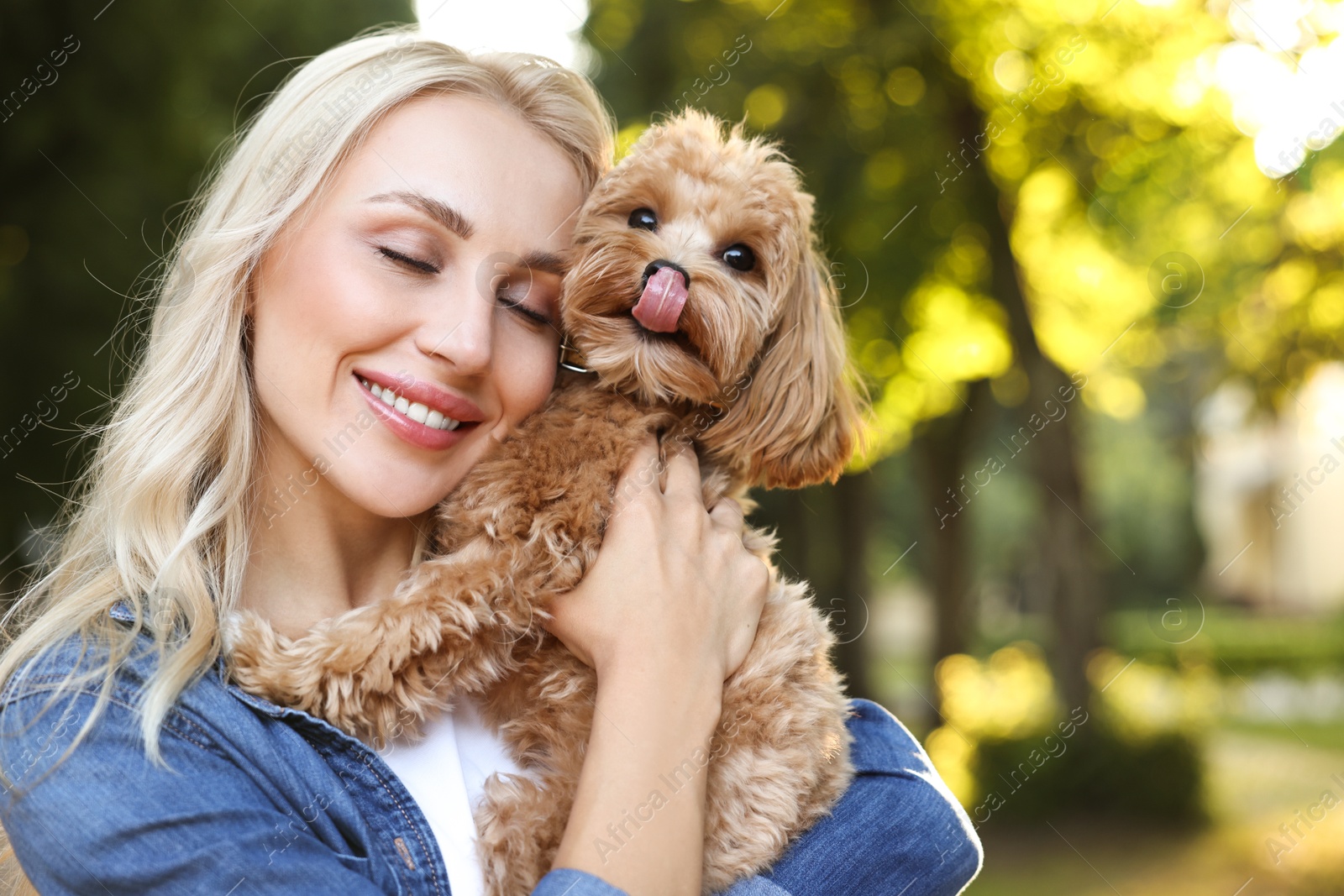 Photo of Beautiful young woman with cute dog in park