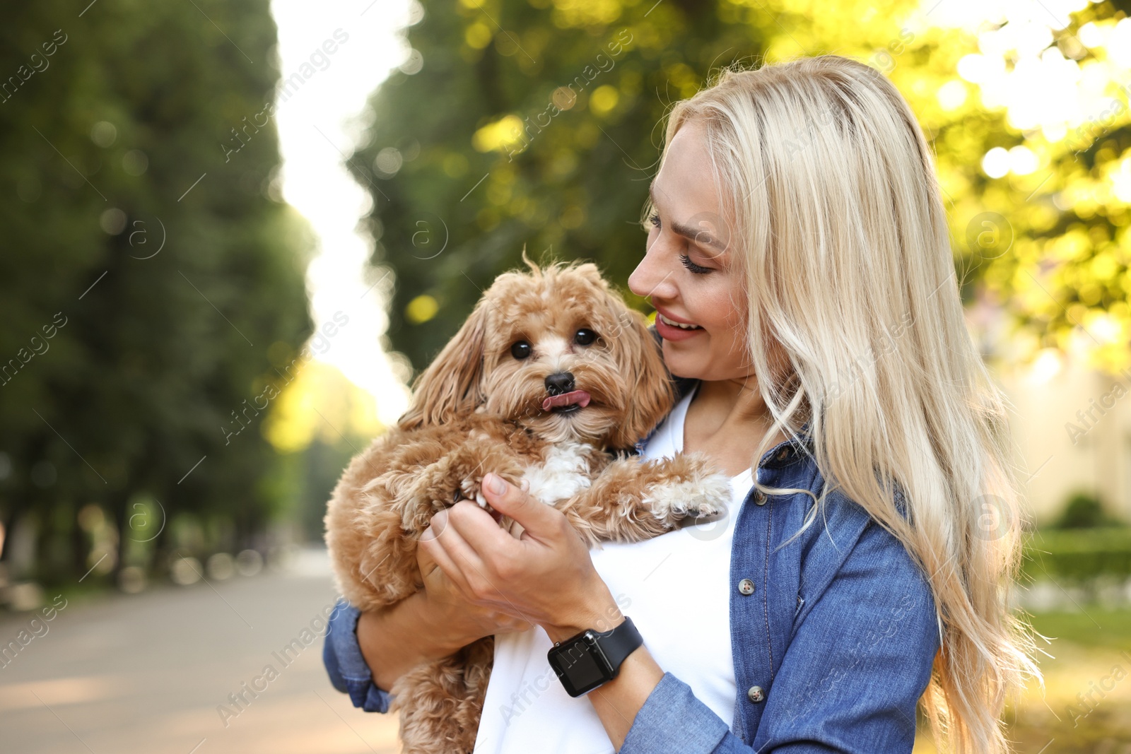 Photo of Beautiful young woman with cute dog in park