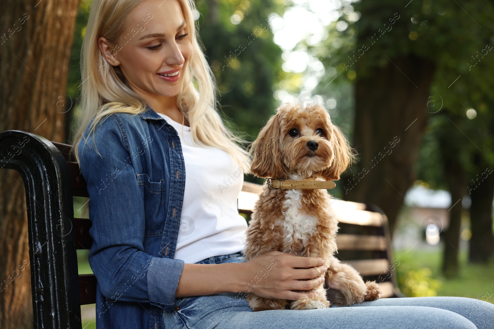 Photo of Beautiful young woman with cute dog on bench in park