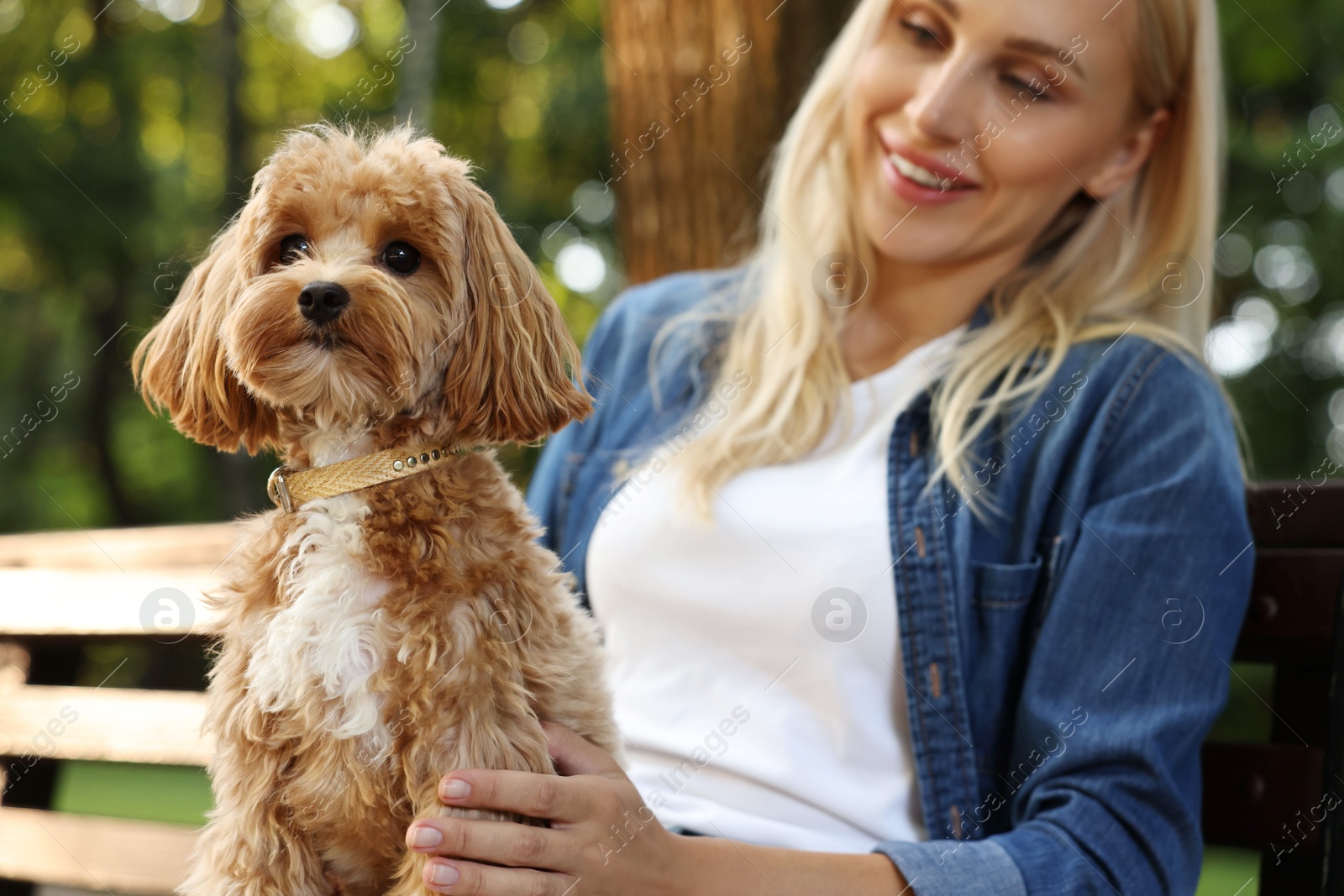 Photo of Beautiful young woman with cute dog on bench in park, selective focus