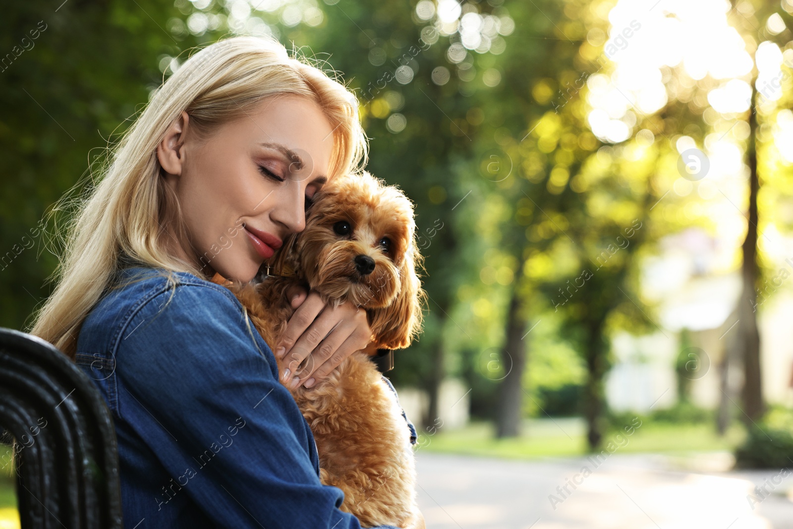 Photo of Beautiful young woman with cute dog on bench in park, space for text