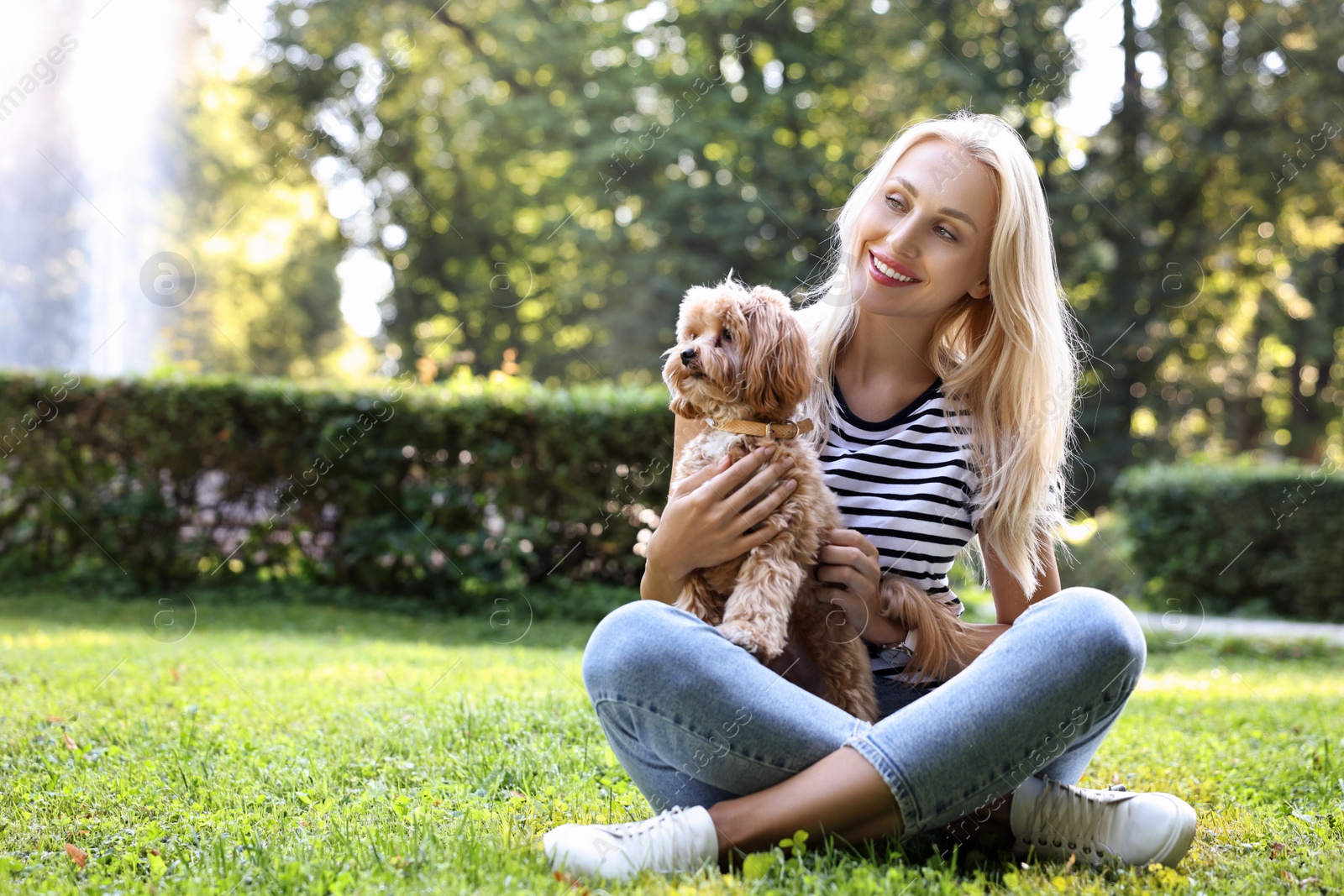 Photo of Beautiful young woman with cute dog on green grass in park, space for text