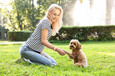 Beautiful young woman with cute dog on green grass in park