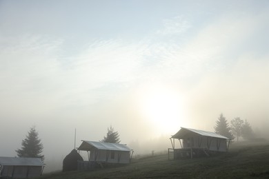 Many houses and trees covered with fog in morning